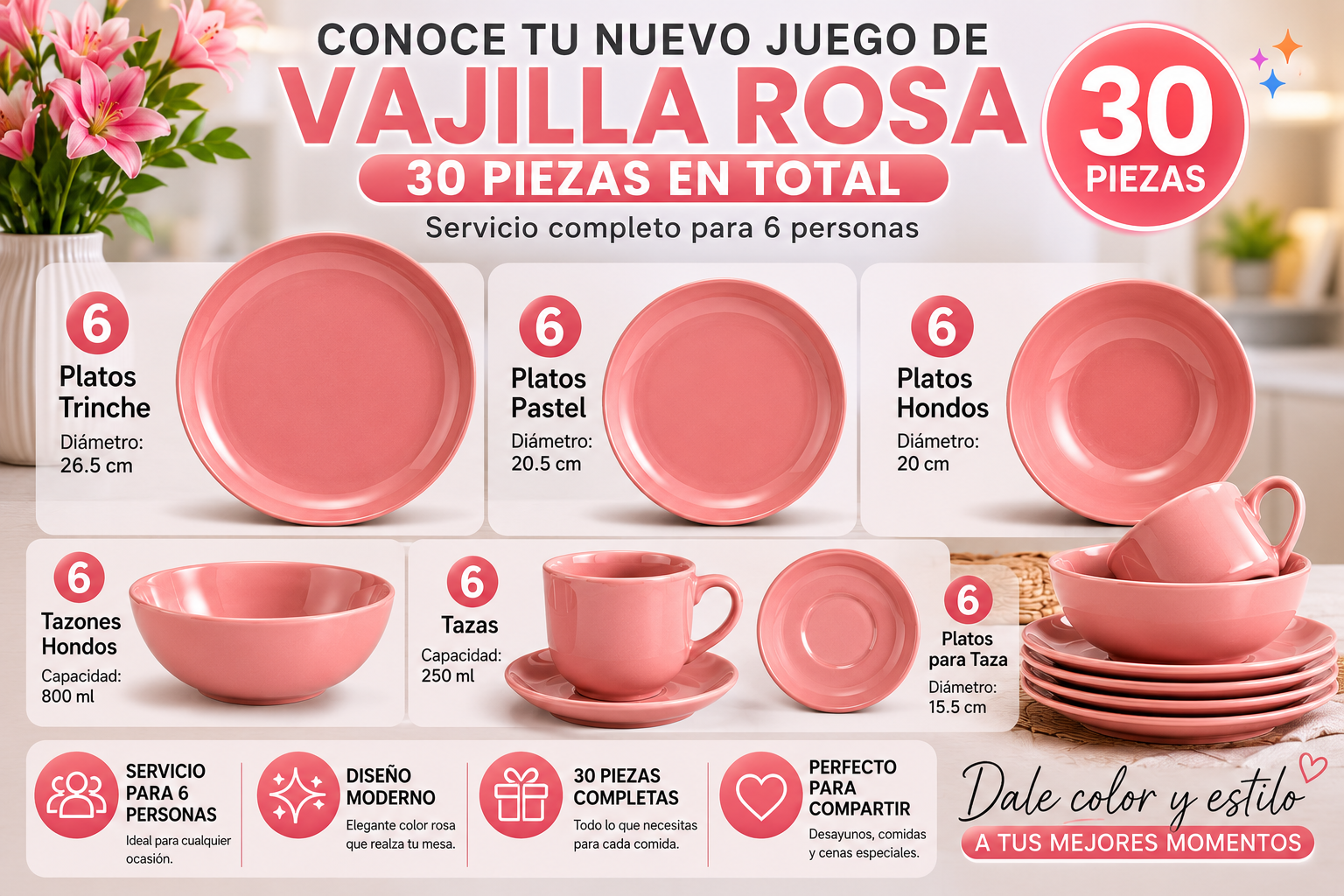 Vajilla Cerámica Brillosa 30 Pzs